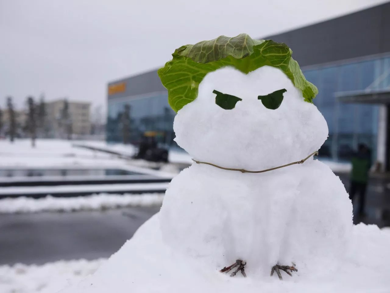 利来w66_利利国际最给力的老牌网